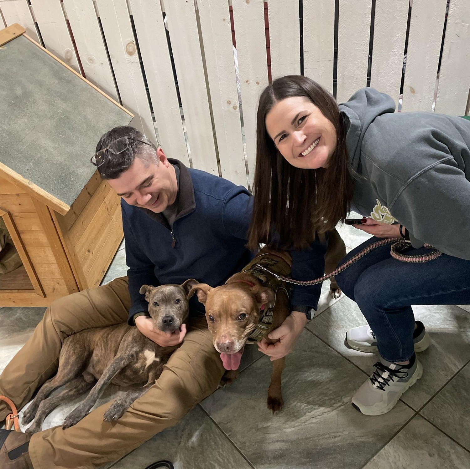 Expanding our family - Toby adoption day!
