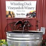Whistling Duck Vineyards & Winery