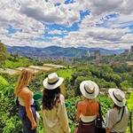 Coffee Tours