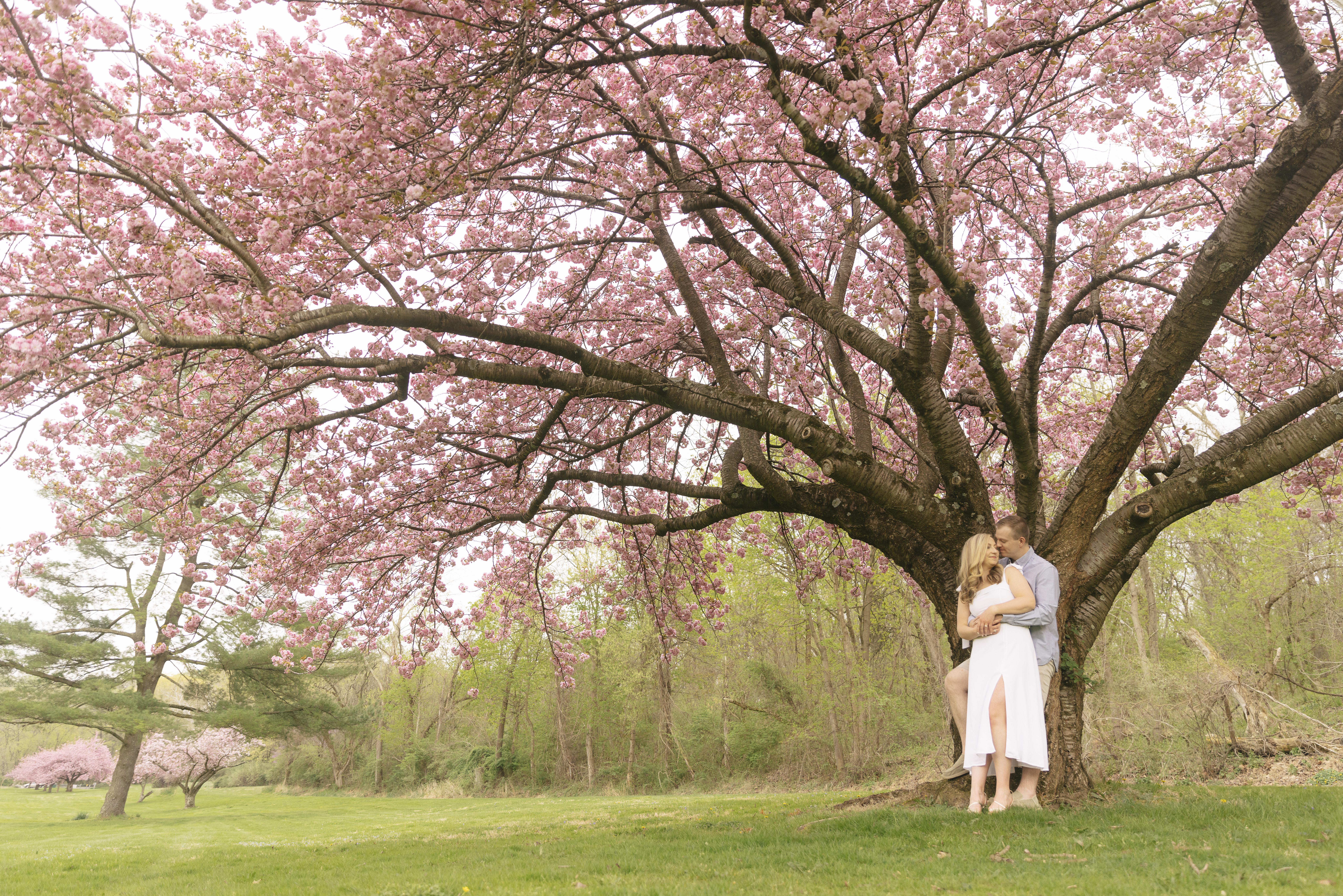 The Wedding Website of Cierra O’Keefe and Justin Derato