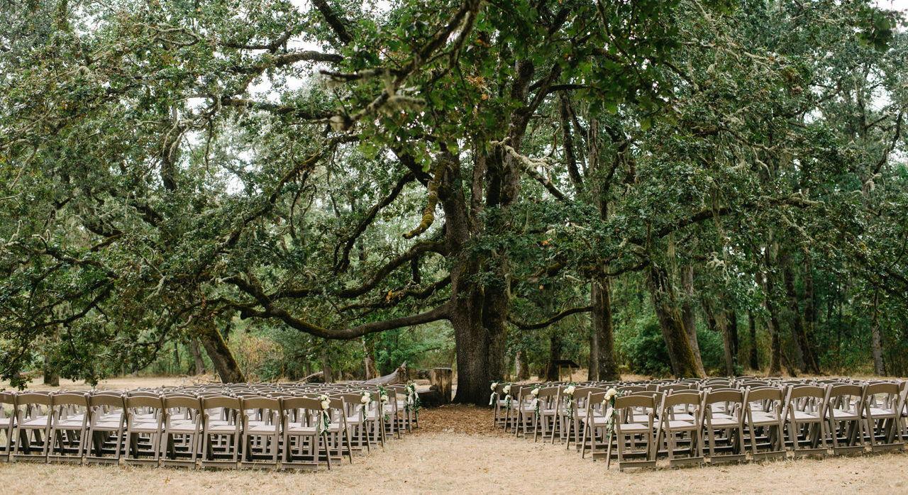 The Wedding Website of Emily Porter and Travis Tatum