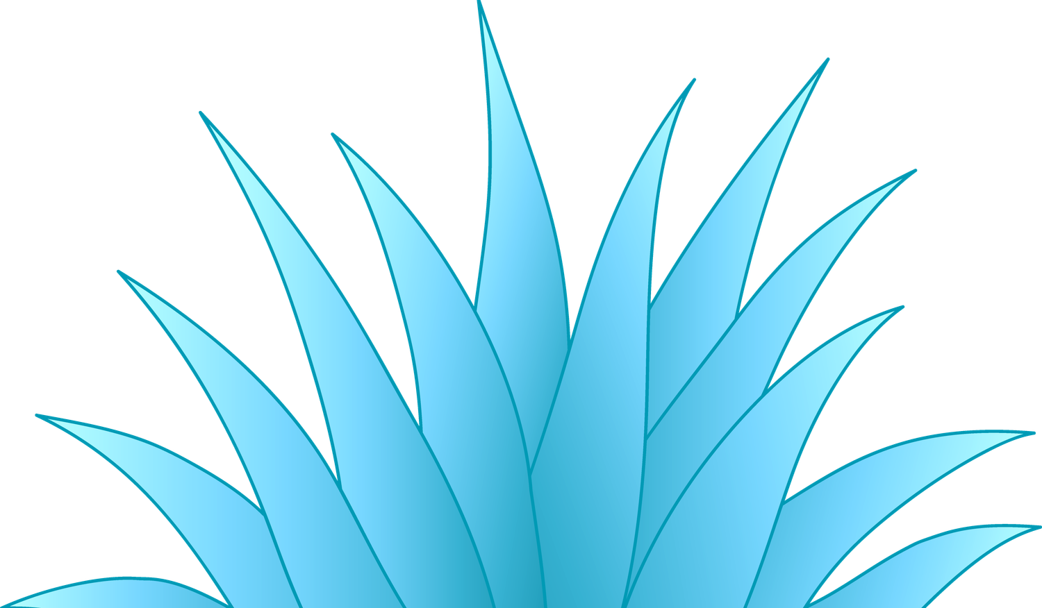 Footer image