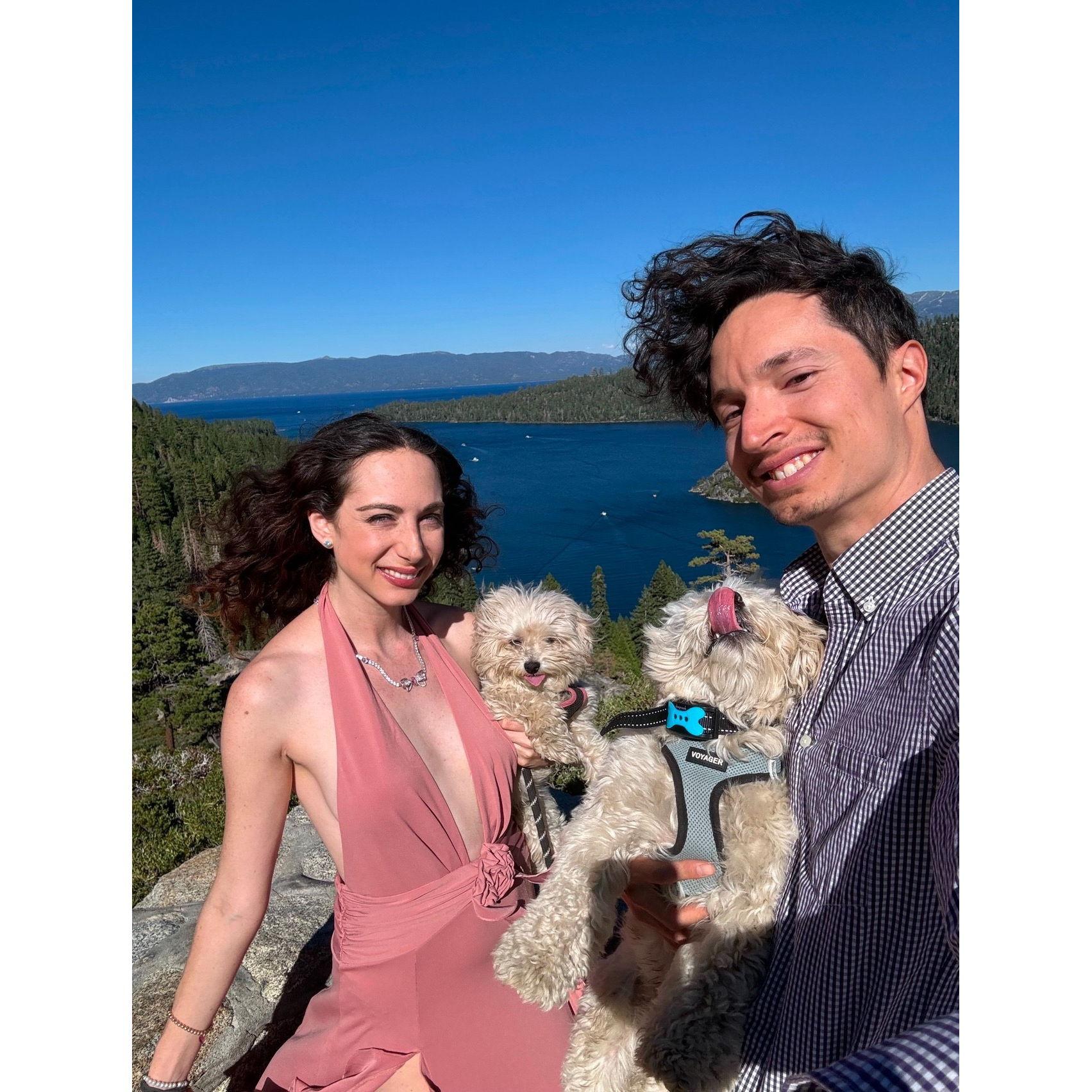 Our fur children bring us so much joy. Will they be a part of the wedding? Why of course!