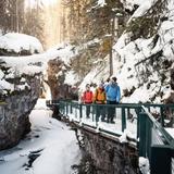 Johnston Canyon