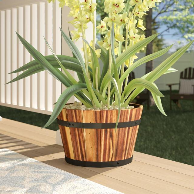 Bathily Acacia Wood Barrel Planter