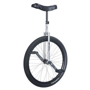 Unicycle