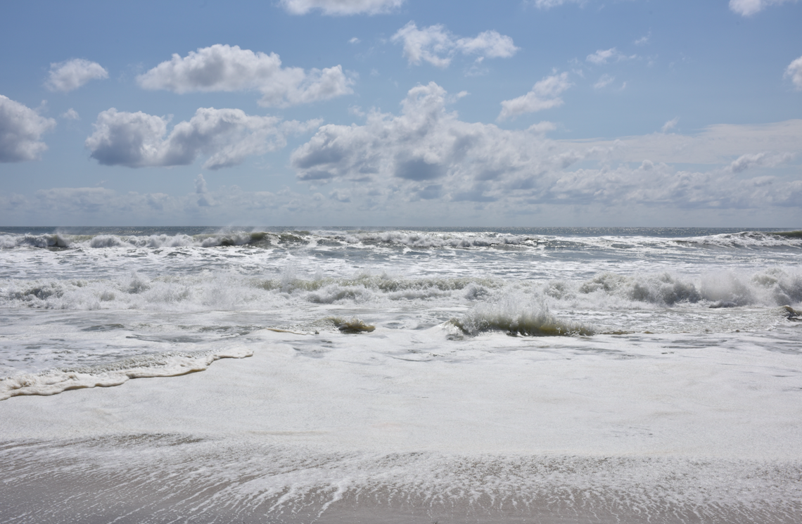 The Wedding Website of Daniel Barbosa and Hannah Robb