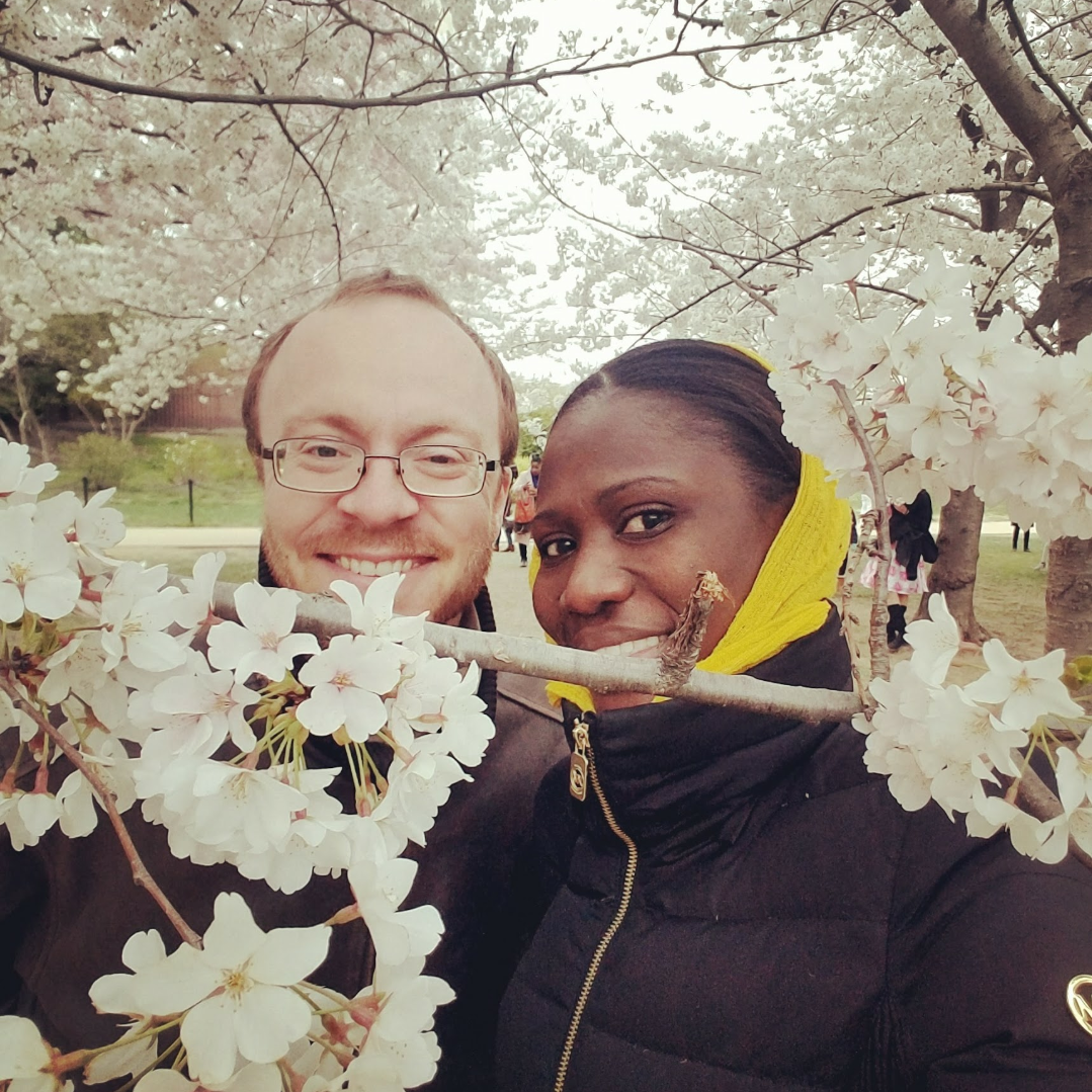 DC Cherry Blossoms, 2018