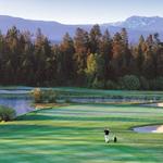 Meadows Golf Course
