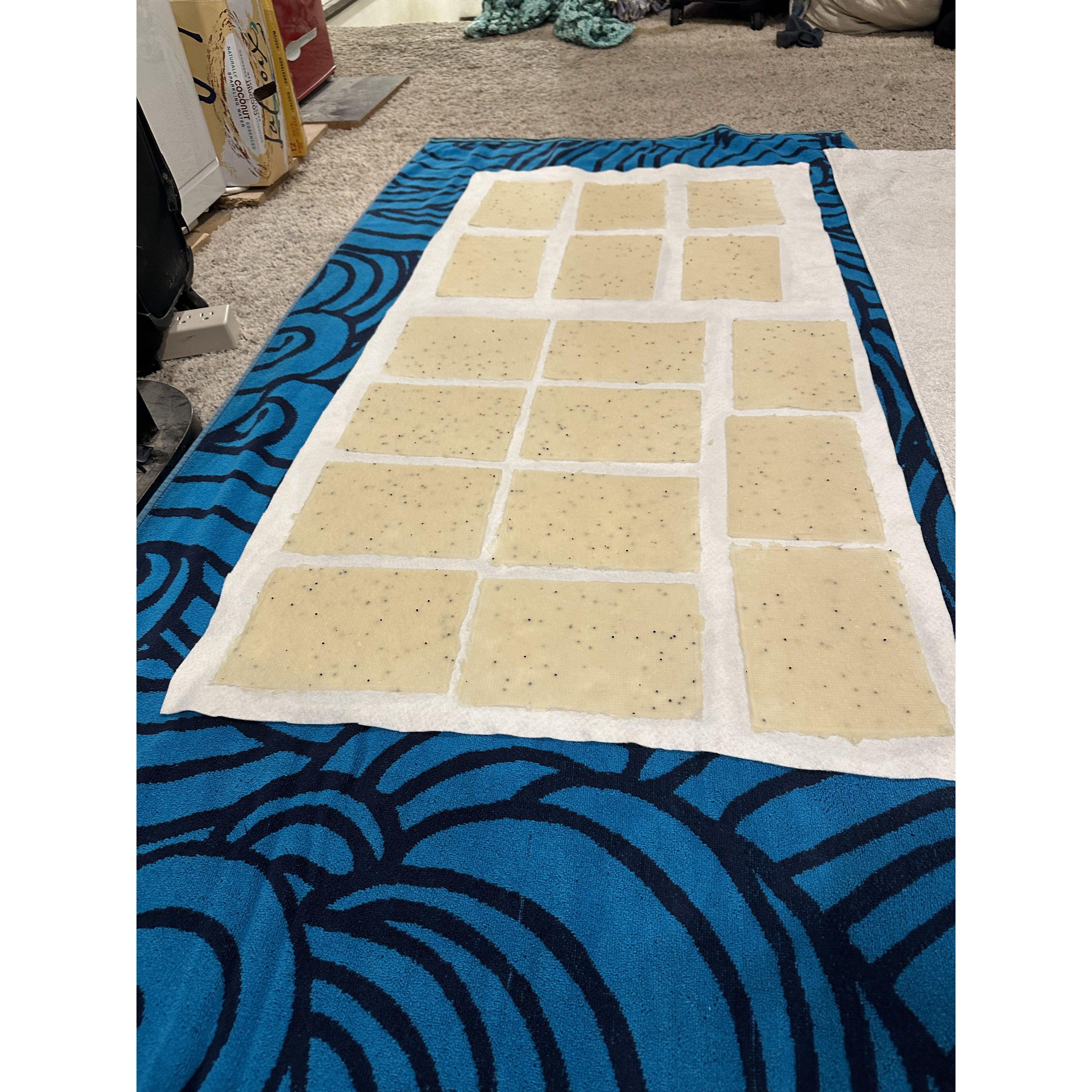 Making the seed paper
