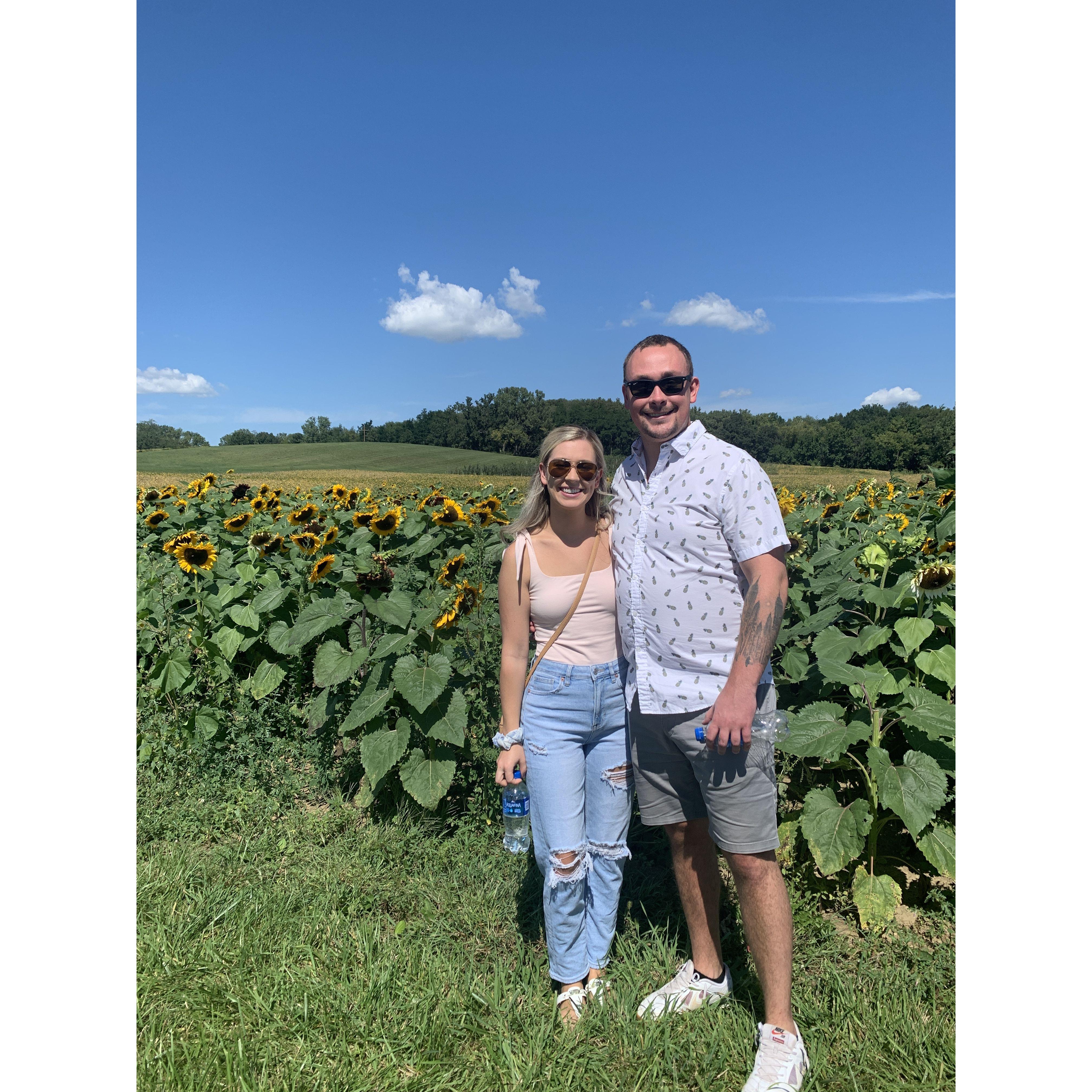Sunflower Patch - 9/5/21