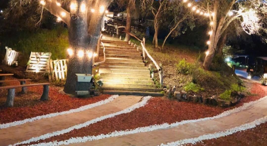 The Wedding Website of Katelyn Coulter and Robert Hamer