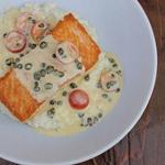 Palooza Basecamp & Eatery