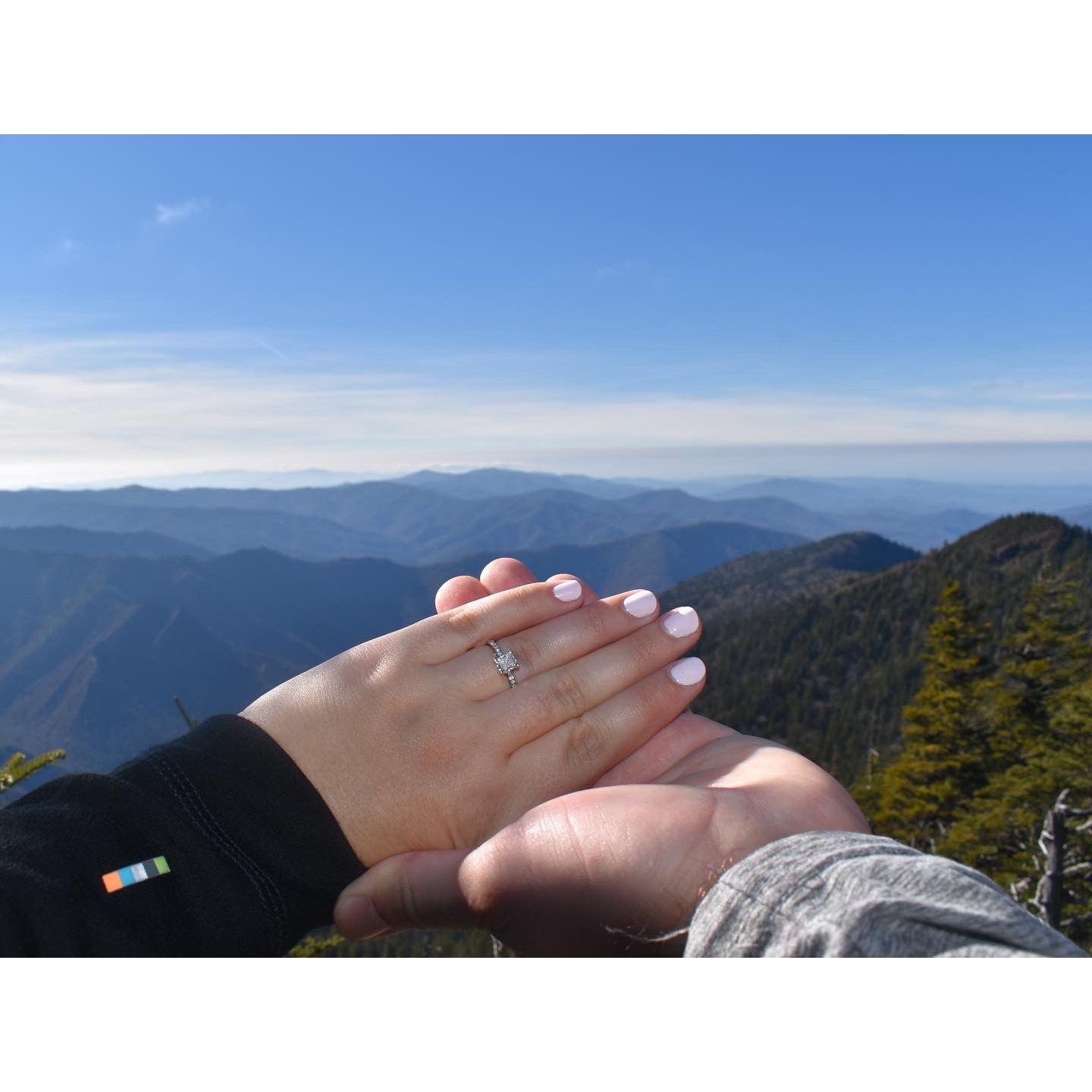 Views from the top of Mt. LeConte the day after we got engaged!