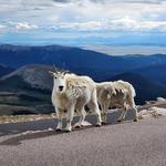 Mount Blue Sky Scenic Byway