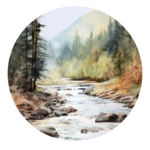 American River Trail