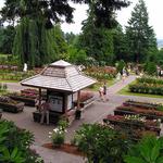 International Rose Test Garden
