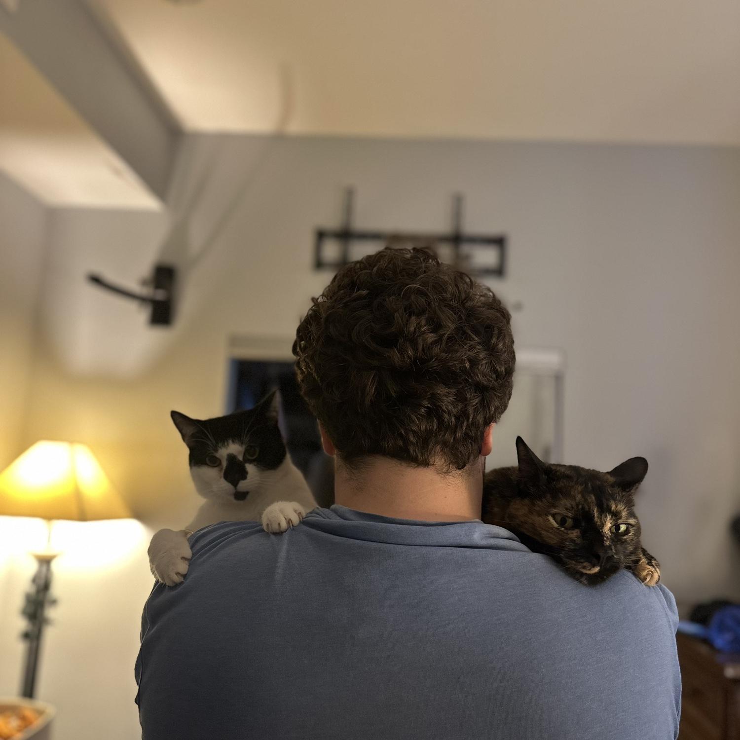 Together, we adopted Koda kitten and became a family of 4!