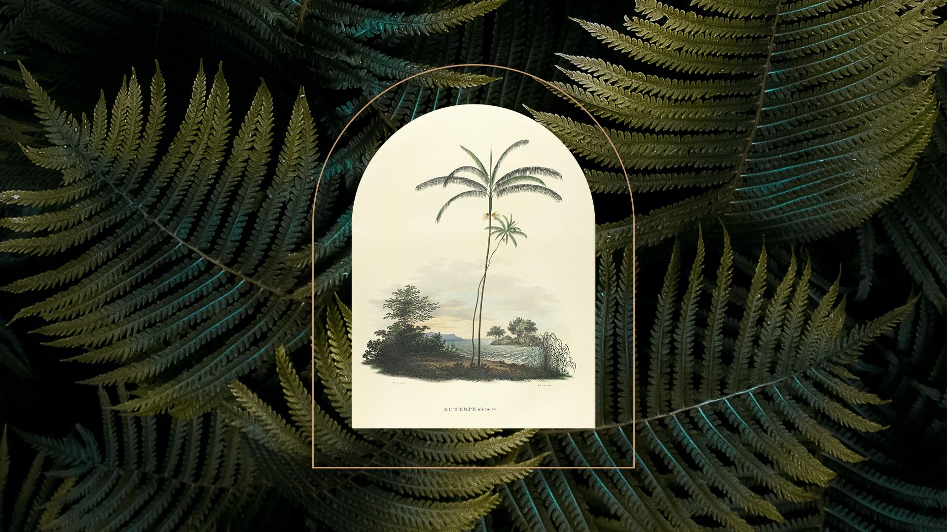 The Wedding Website of Devania Armogam and Tiaan Joubert