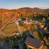 Wolf Mountain Vineyards