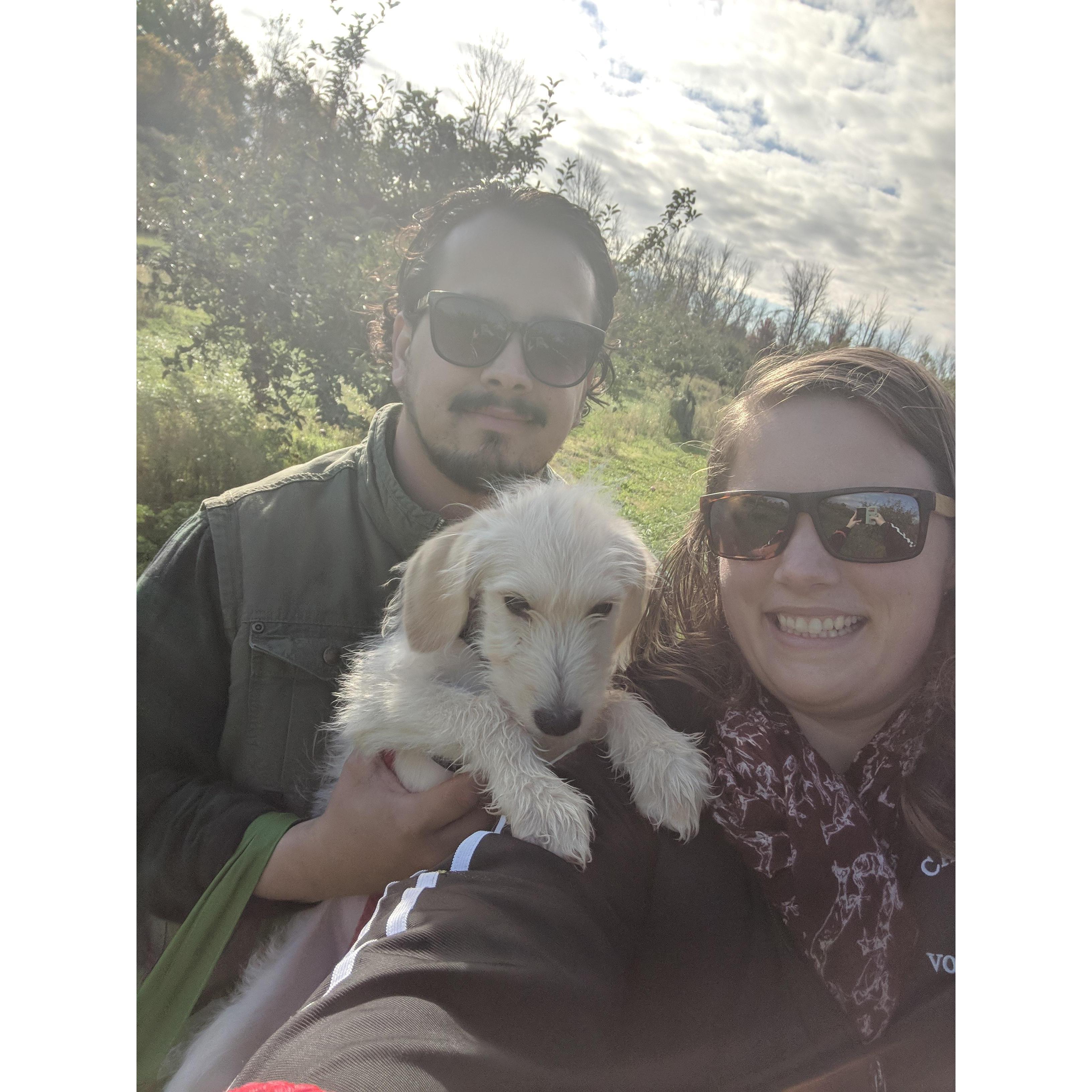 Family apple picking!