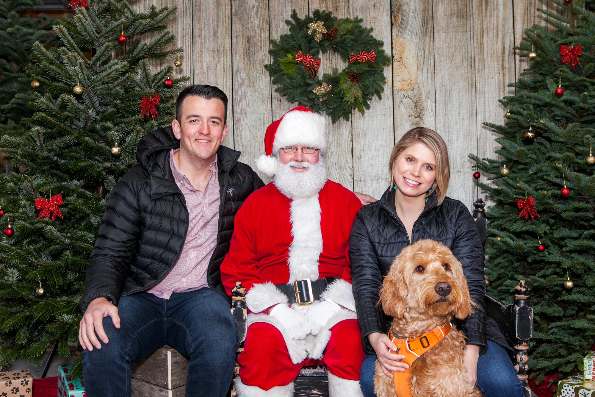 Santa Paws, 2019