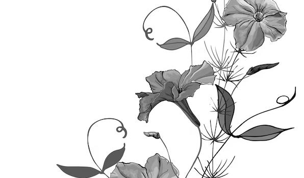 The Wedding Website of Oneshia Etienne and Michael Shallcross