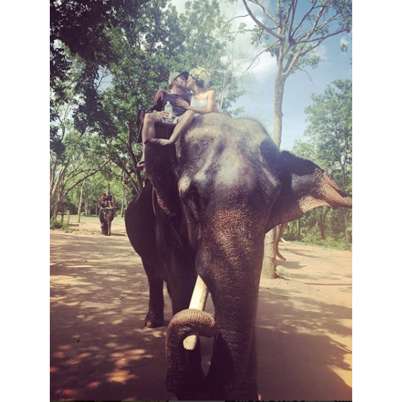 Elephant Sanctuary, Thailand | 2016