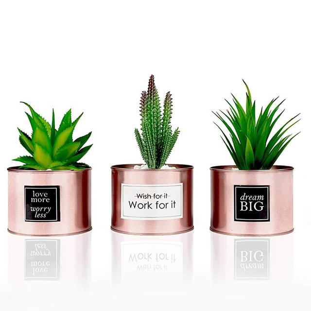 Office Decor for Women Desk- Rose Gold Decor Desk Plant For Bookshelf Decor, Boho Bedroom Decor For Women College Dorm for Girls - Artificial Plant Cactus Succulent - Kitchen Decorations & Accessories
