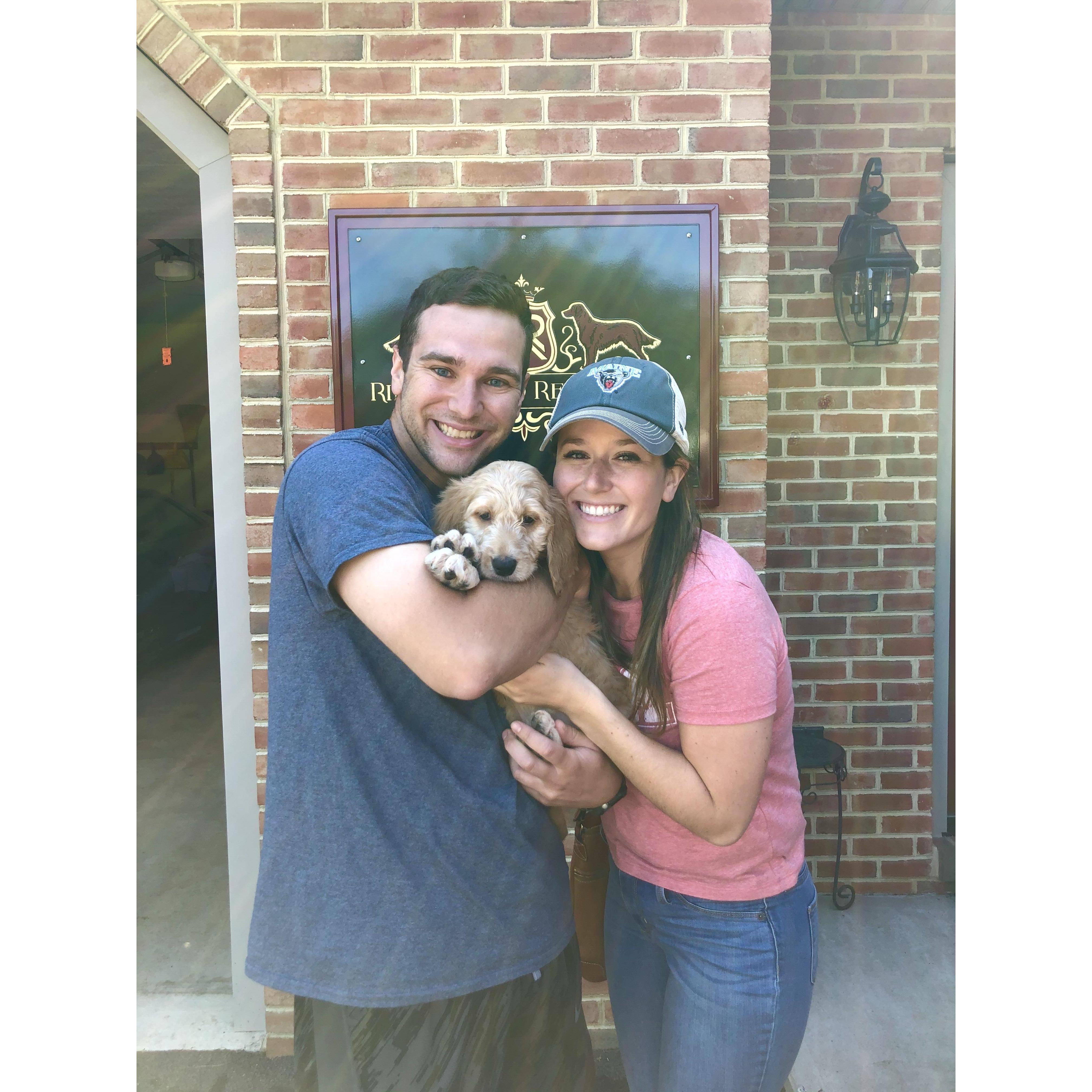 The Day we Picked Up Ally