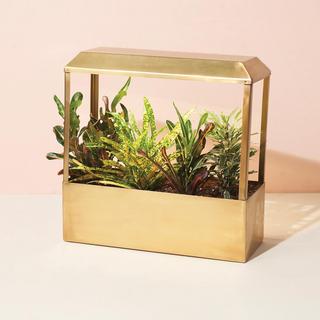 Smart Growhouse