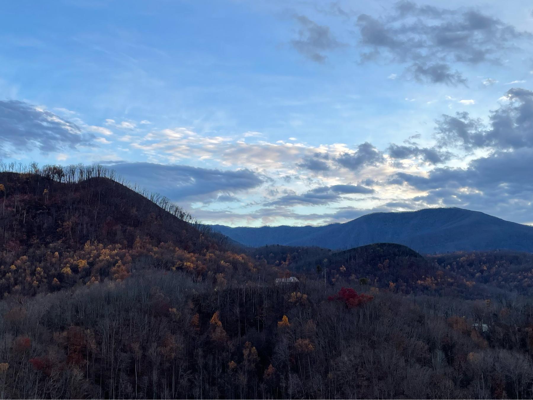 The Wedding Website of Hannah Johns and Grayson Johnson