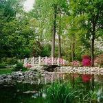 Sayen House and Gardens