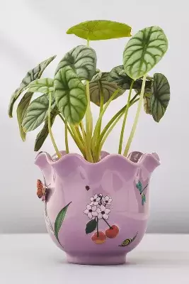 Faye Planter