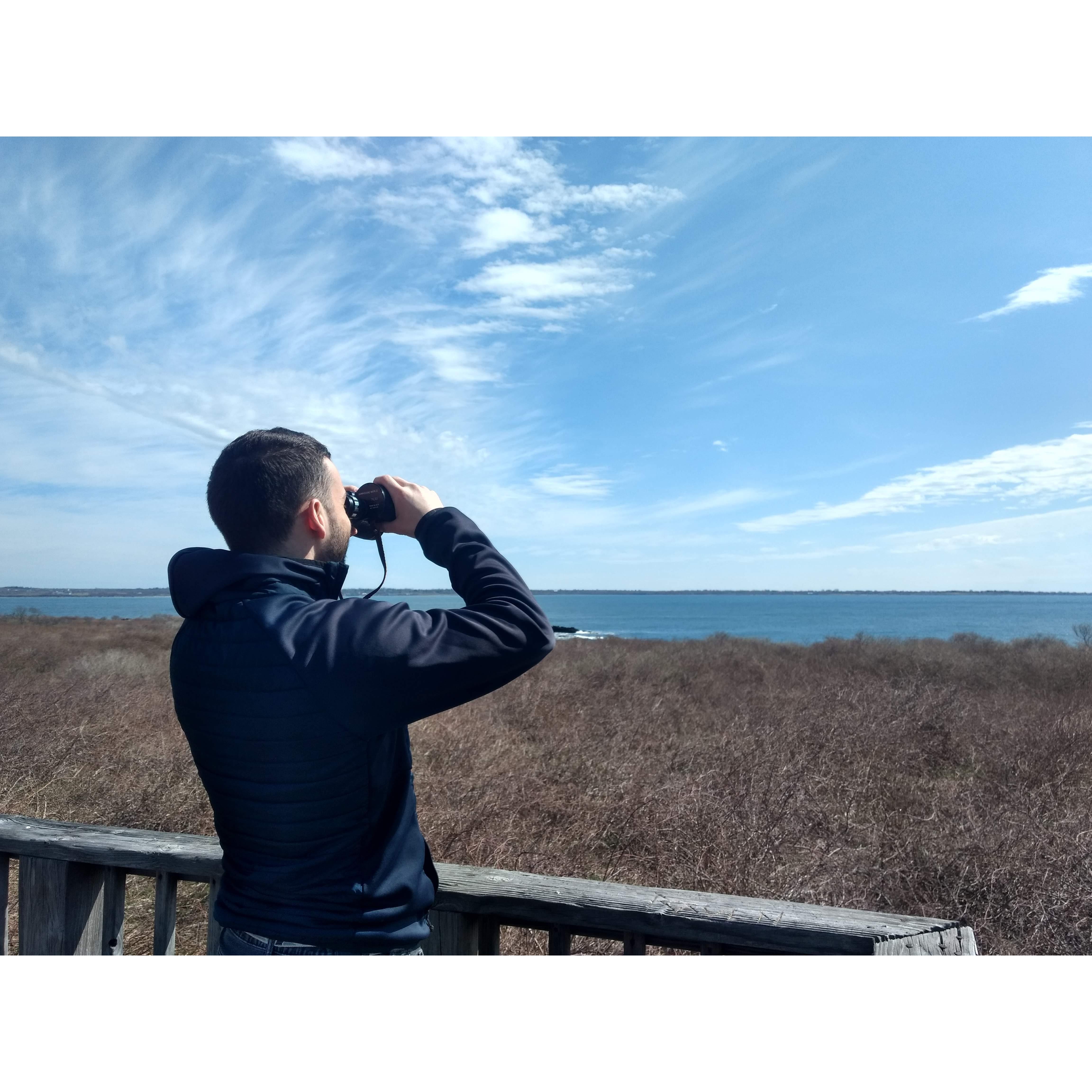 Bird watching in Sachuest Point. Lockdown 2020
