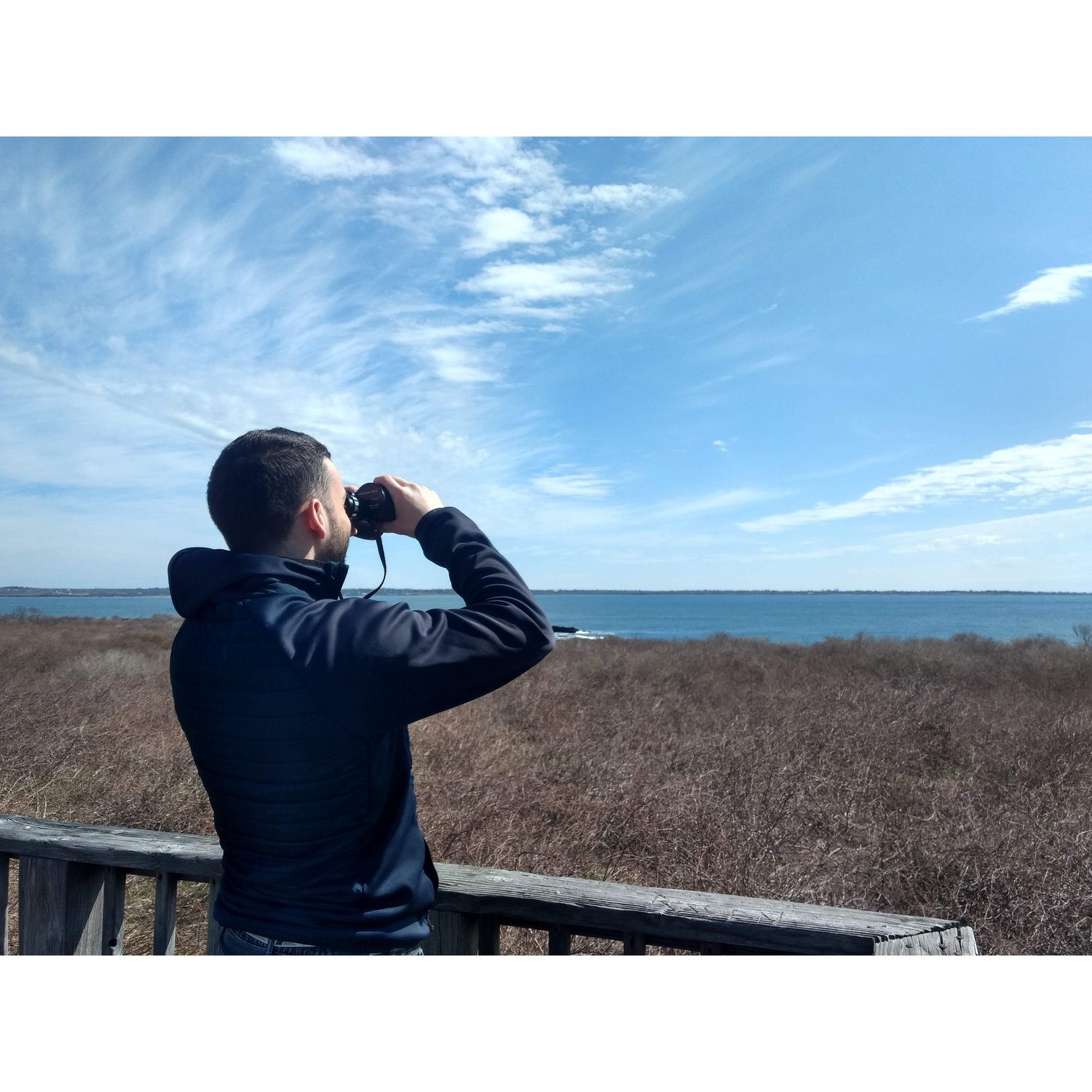 Bird watching in Sachuest Point. Lockdown 2020