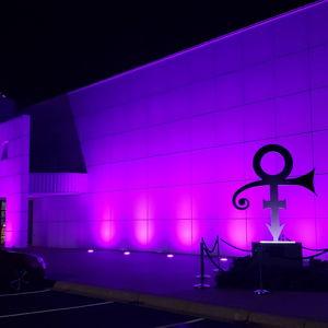 Prince: The Ultimate Experience