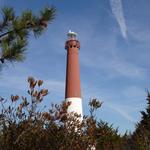 Barnegat Lighthouse State Park