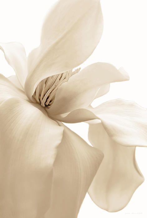 The Wedding Website of Kyra Ammann and Olivier Ammann