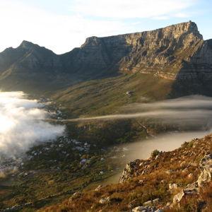 Guided Table Mountain Hike in Cape Town