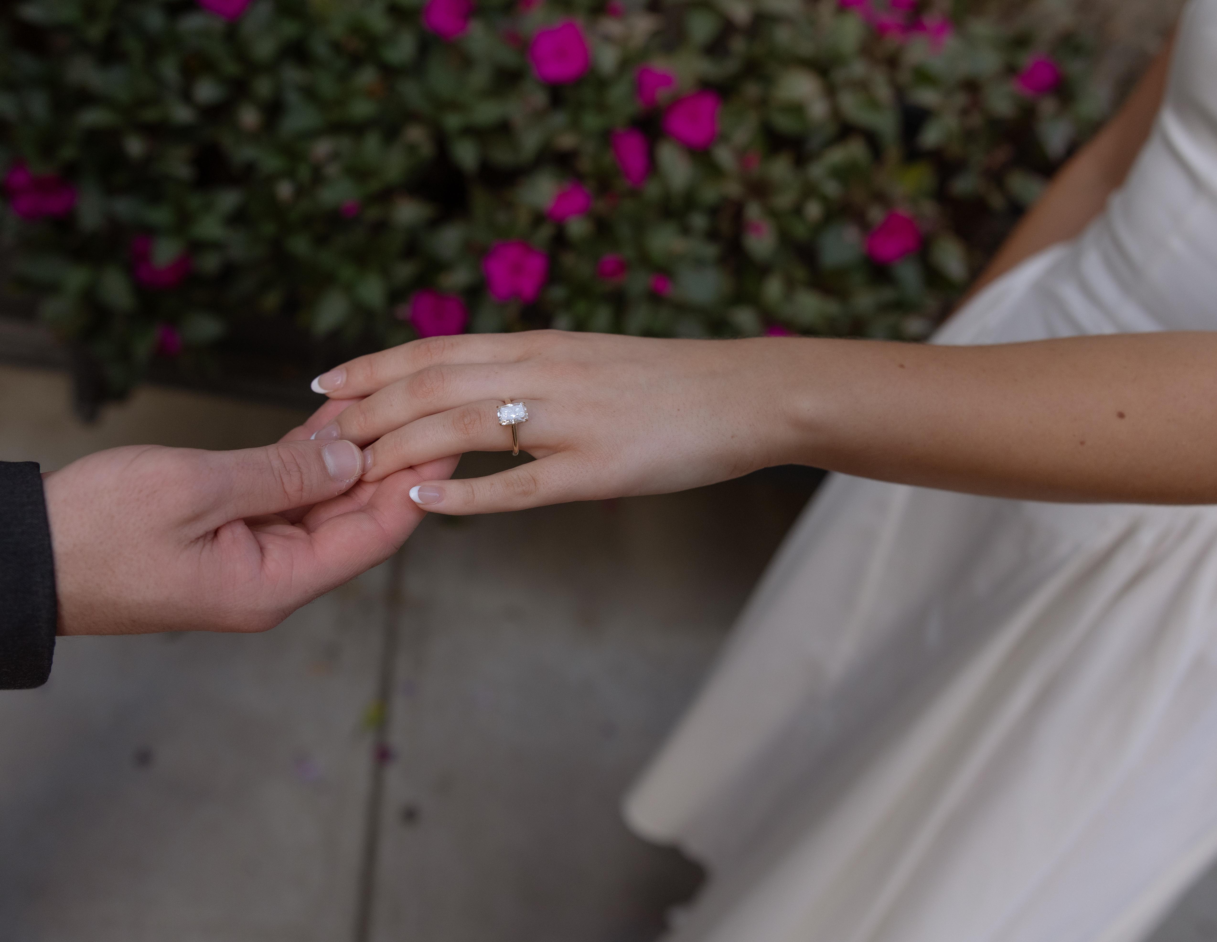 The Wedding Website of Michealyn Everitt and Andrew Wyper