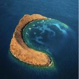 Snorkel or Dive the Molokini Crater