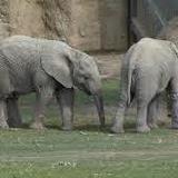 Fresno Chaffee Zoo
