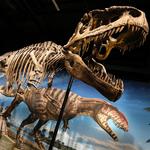 Denver Museum of Nature & Science