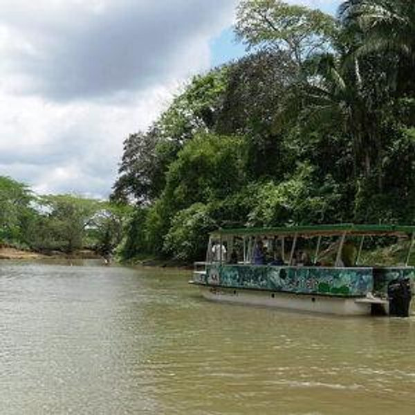 Cano Negro Wildlife Refuge Day Trip - Honeymoon