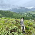 Proctor Mount Loop Trail