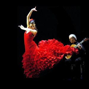 Flamenco Show