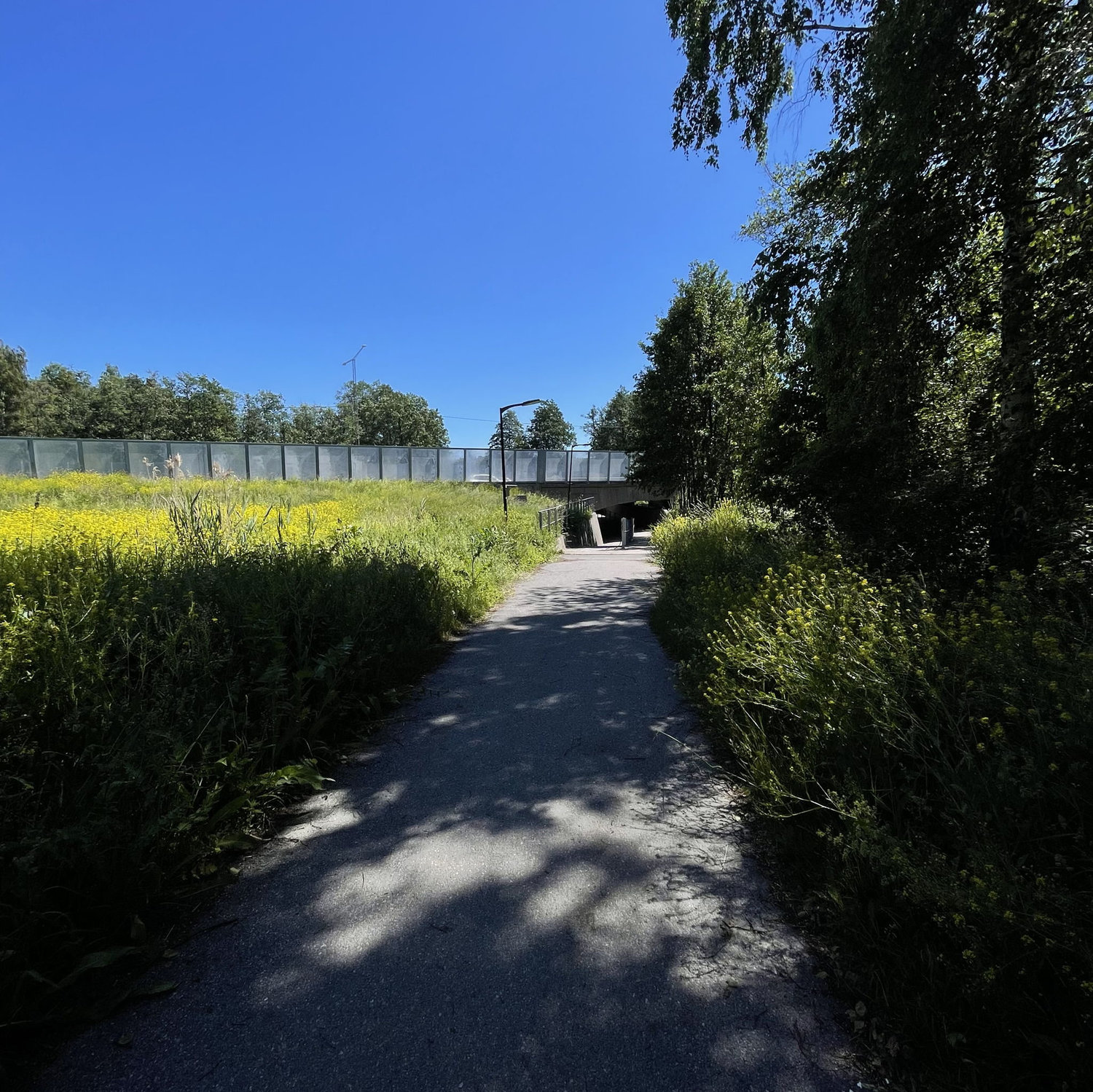 Mot viadukten som har en gång- och cykelväg