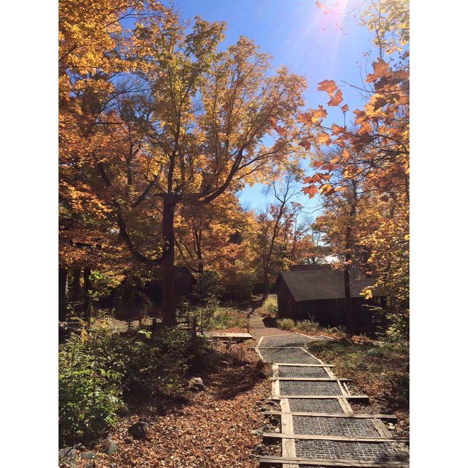 Cabin Row in fall.