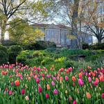 Cheekwood